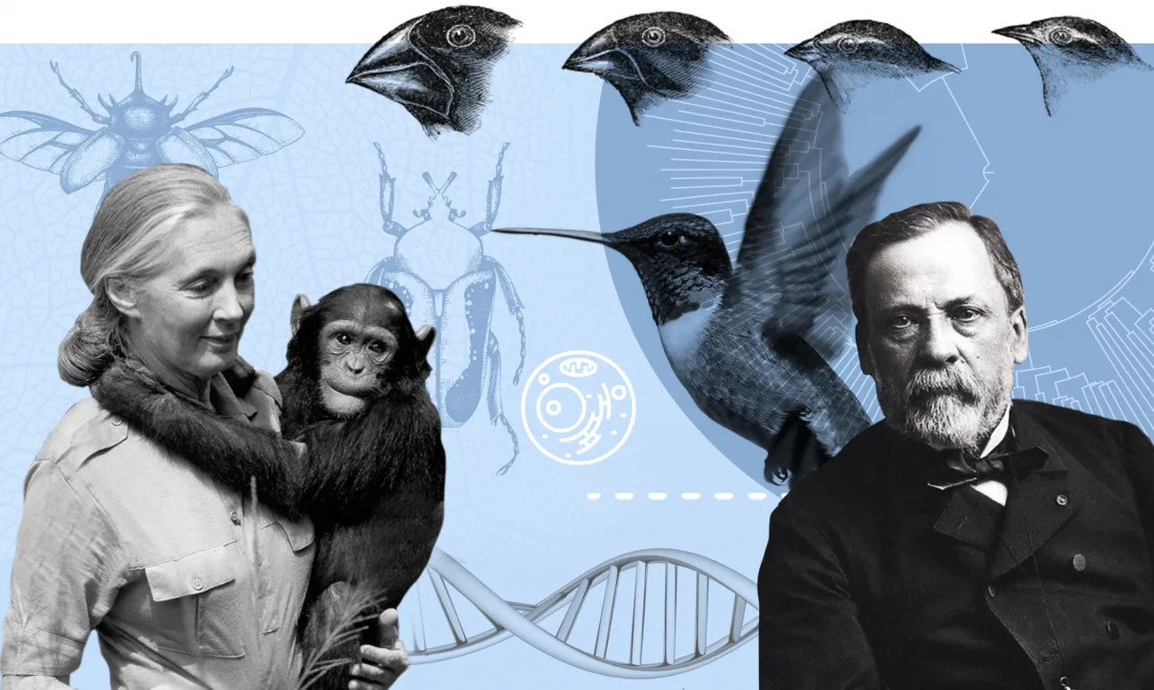 A range of figures from Biology