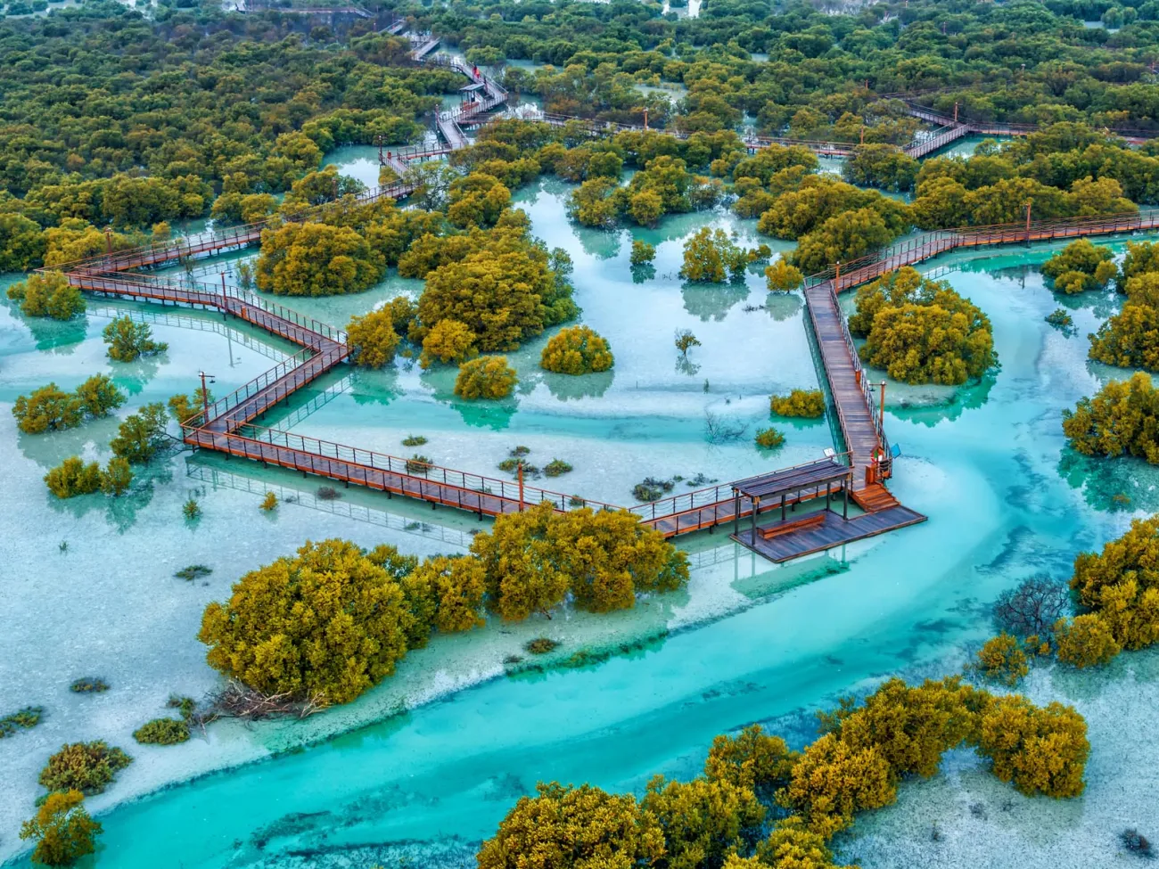 Jubail Mangrove Park drone