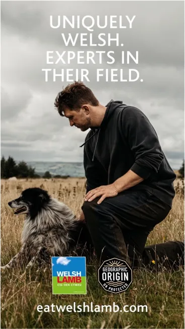 HCC Experts in their field poster 2