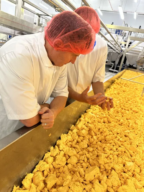 Nigel-Owens-visiting-the-cheese-processing-factory