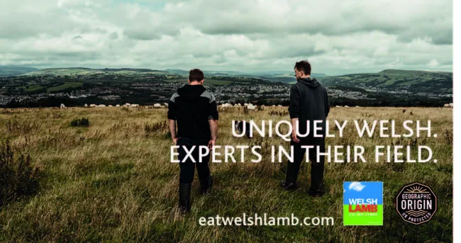 Welsh Lamb Experts In Their Field Award Entry