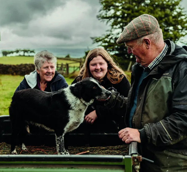 Welsh Lamb Experts In Their Field Award Entry
