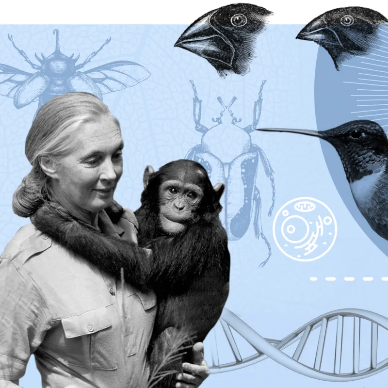 A range of figures from Biology
