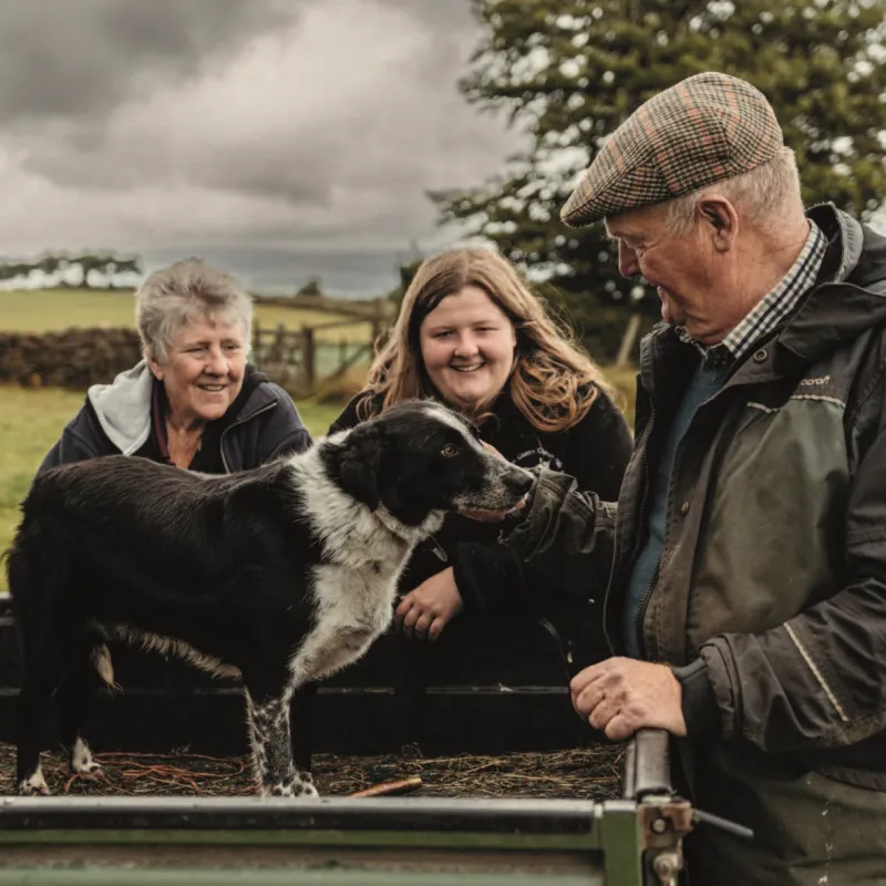 Welsh Lamb Experts In Their Field SQ